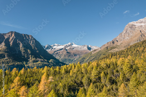 Mountain landscape. Forest in autumn and snow-capped mountains