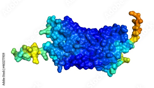 3D rendering of G-protein coupled receptor 55 as predicted by alphafold and colored according to confidence in the model.  photo