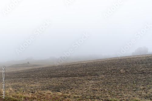 mist over the field