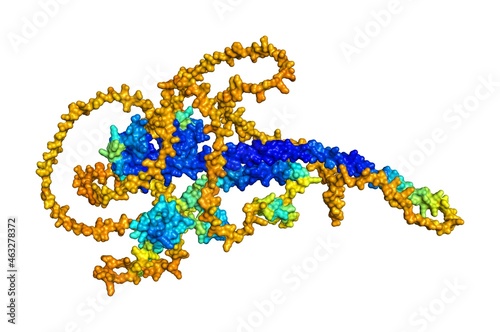 3D rendering of LINE-1 type transposase domain-containing protein 1 as predicted by alphafold and colored according to confidence in the model.  photo
