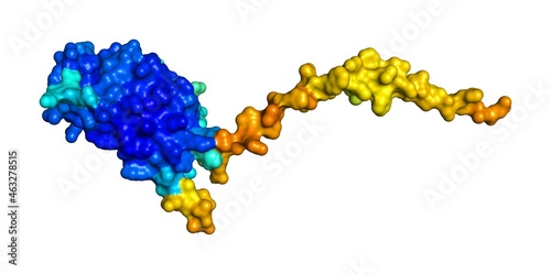 3D rendering of Interleukin-31 as predicted by alphafold and colored according to confidence in the model.  photo