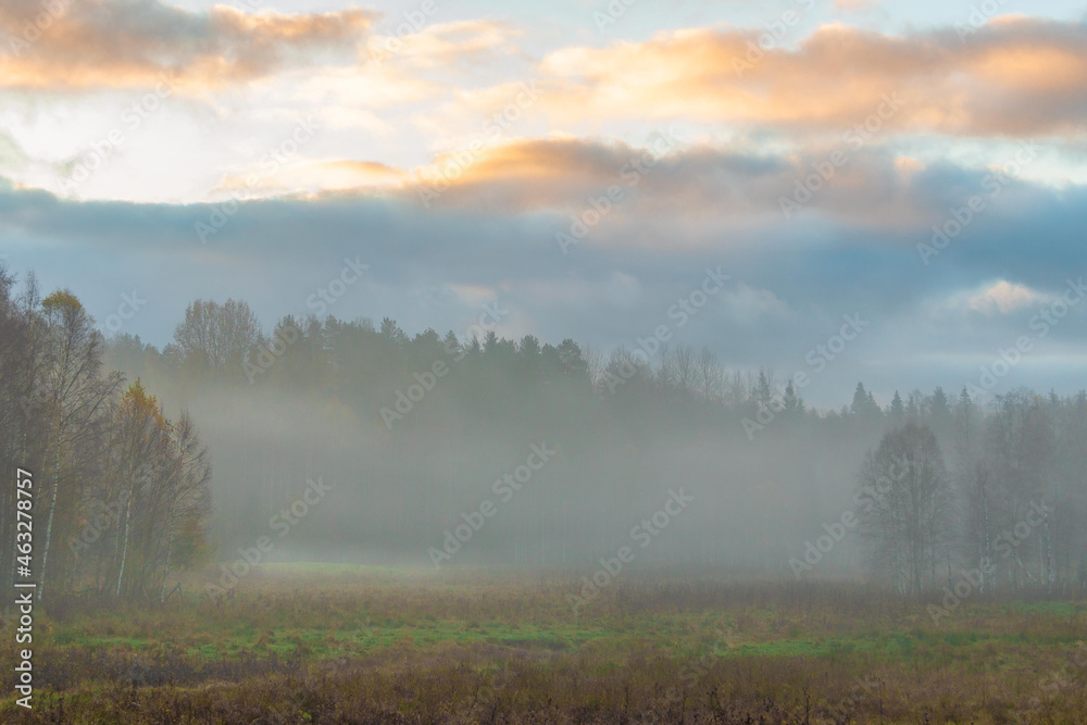 Morning mist over a Swedish landscape in autumn