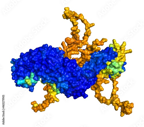 3D rendering of FAST kinase domain-containing protein 5, mitochondrial as predicted by alphafold and colored according to confidence in the model.  photo