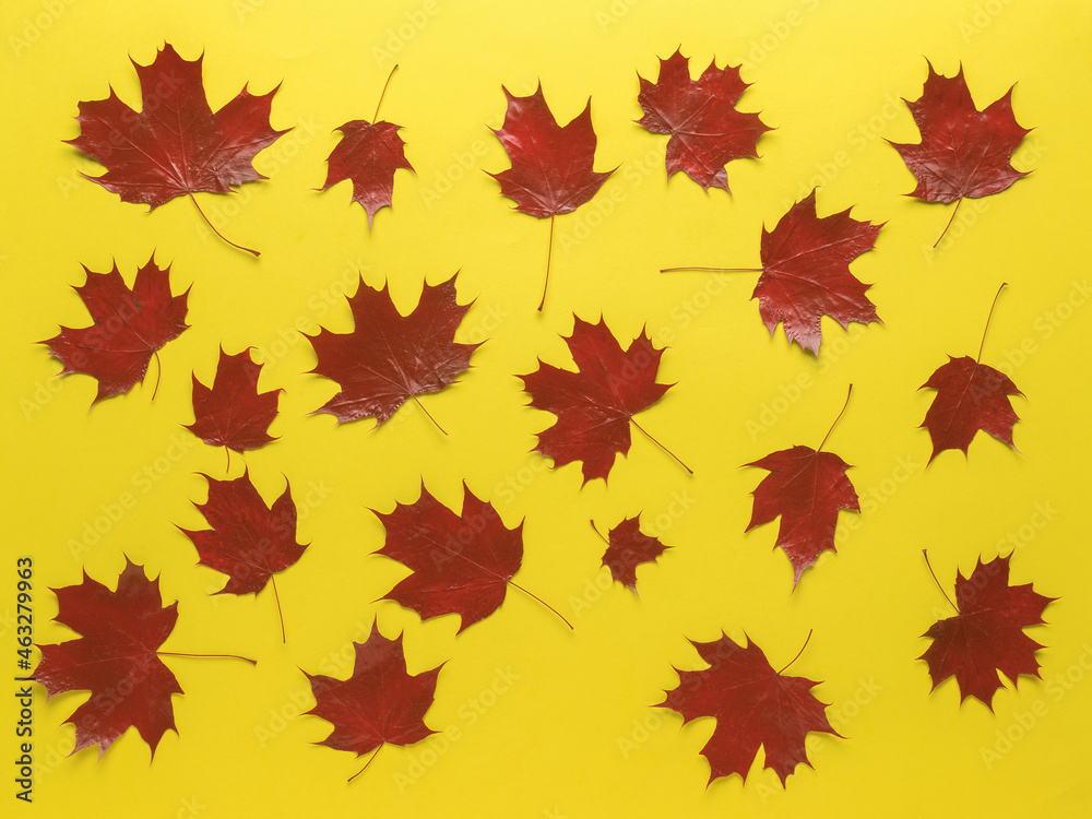 Bright red autumn maple leaves on a yellow background. Bright red autumn maple leaves on a yellow background.
