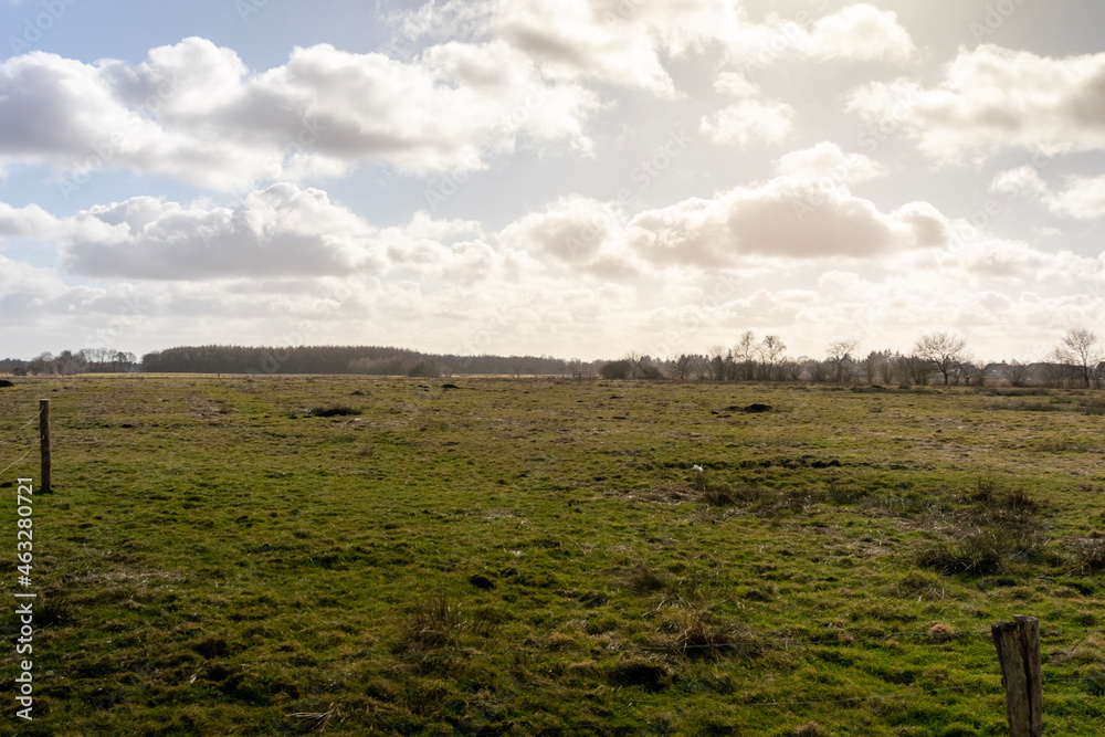 Obraz premium vineyard in the summer