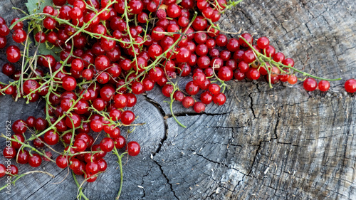 red currants