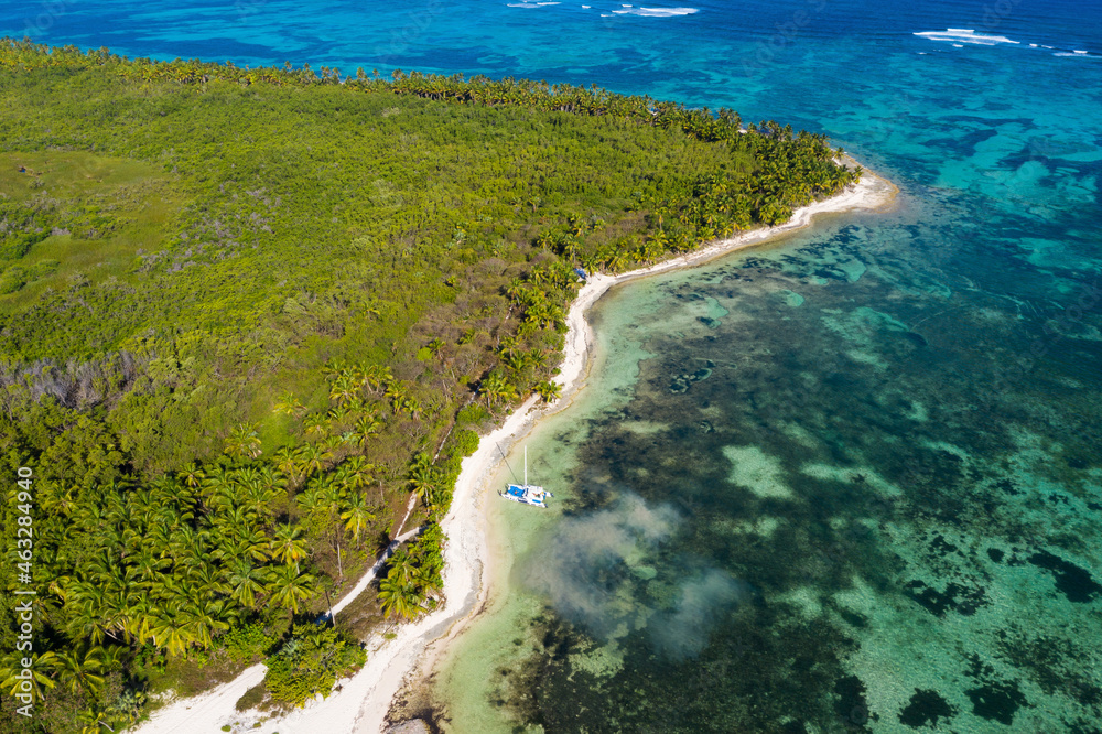 Tropical island with palm trees near caribbean sea. Dominican Republic. Aerial view