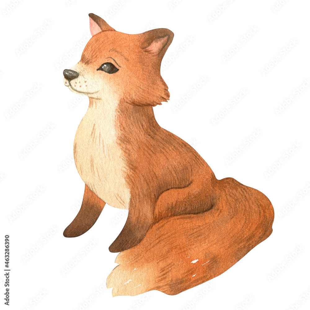 Fototapeta premium Quality watercolor fox for design, baby fox for cards, stickers, print, decor and design for kids prints