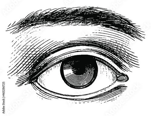 Vintage Style Eye Vector