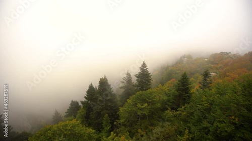 Fascinating view of the city and forest seen with the disappearance of the fog among the colorful pine trees