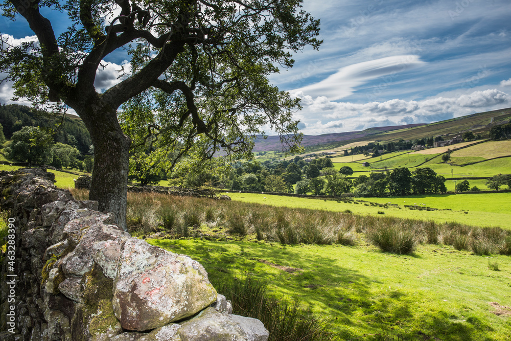 Summer landscape in the Yorkshire Dales Summer landscape in the Yorkshire Dales