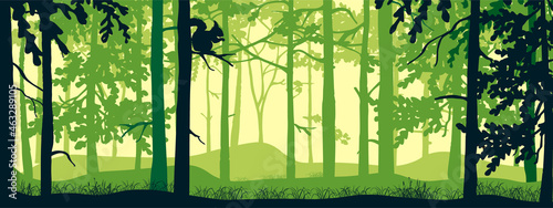 Horizontal banner of forest background, silhouettes of trees, owl on branch. Magical misty landscape, fog. Green and yellow illustration. Bookmark. 