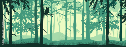 Horizontal banner of forest background, silhouettes of trees, owl on branch. Magical misty landscape, fog. Blue and green illustration. Bookmark. 