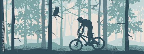 Horizontal banner. Silhouette of mountain bike rider in magical misty forest. Wild nature landscape. Owl on branch. Blue illustration. Bookmark. 