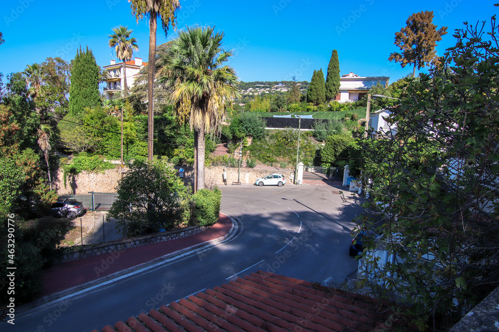 Obraz premium trees in the city