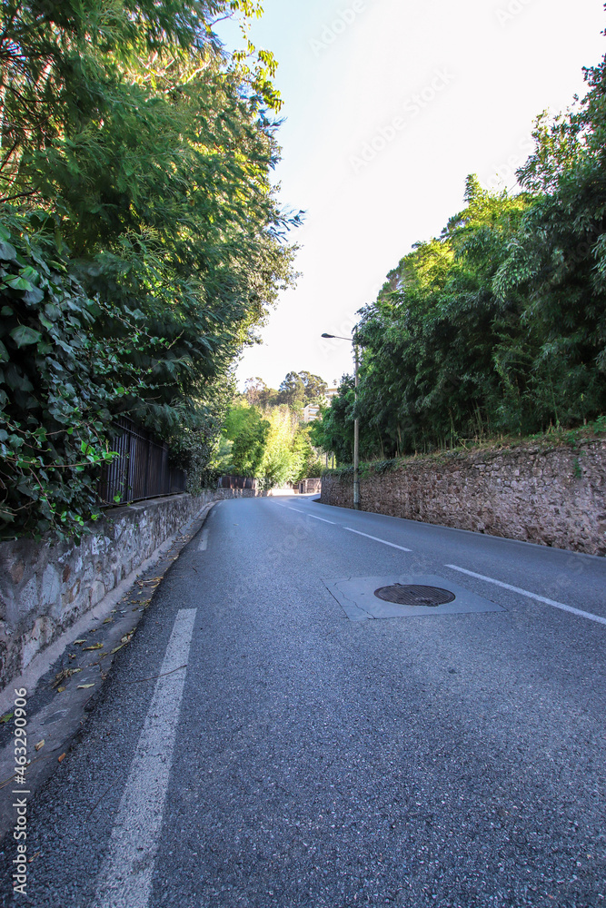 Obraz premium road in the park