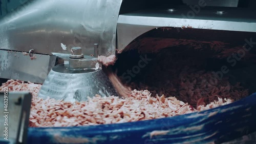 The working process of a meat grinder at a meat processing plant photo