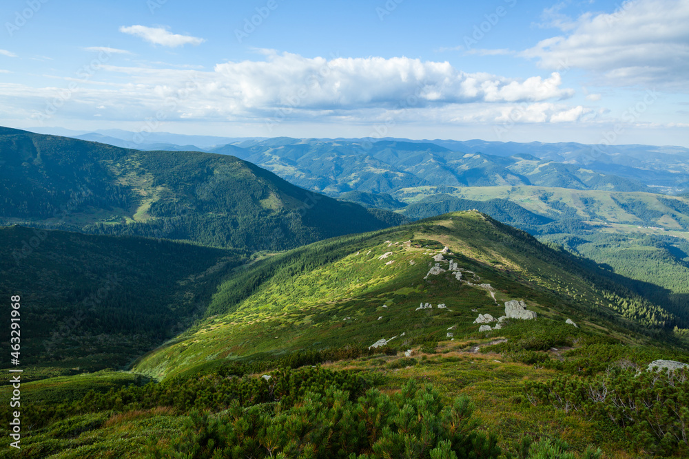Beautiful landscape of the green slopes, Carpathian mountains, Ukraine