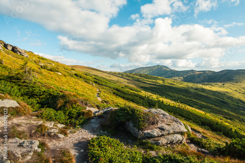 Landscape of a hiking trail which goes far away up to the top of the hill, Carpathian mountains, Ukraine