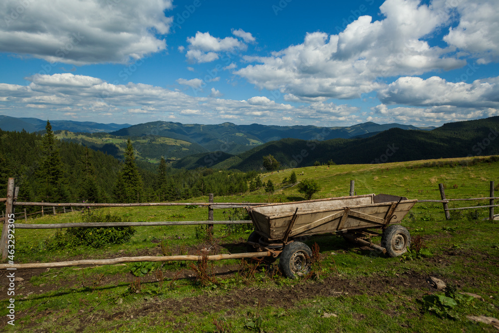 Wooden four-wheeled cart, Carpathian Mountains, Ukraine