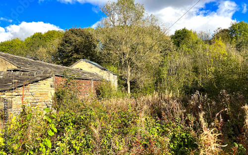 Late autumn day, with derelict buildings, wild plants, and trees on, Bagley Lane, Leeds, UK photo