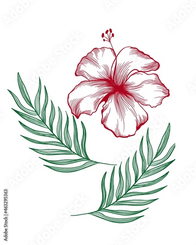 Monstera and hibiscus flowers tropical bouquet. Horizontal romantic wild exot...