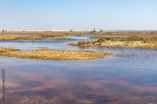 Lake with vegetation and sand