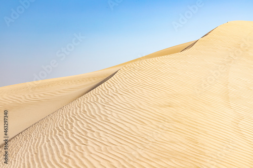 Dunes with wind marks photo