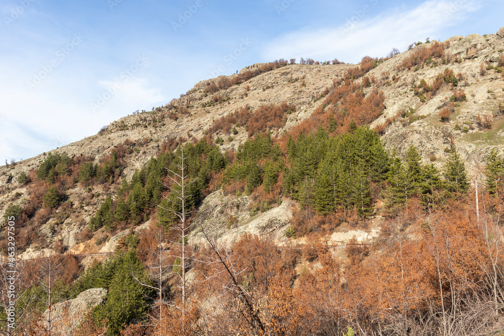 Rhodope Mountains near Borovitsa Reservoir, Bulgaria Rhodope Mountains near Borovitsa Reservoir, Bulgaria