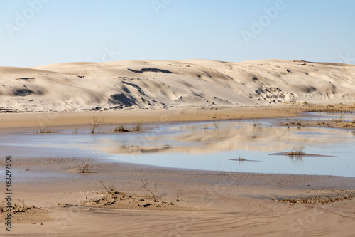 Lake, Dunes with wind marks and vegetation photo