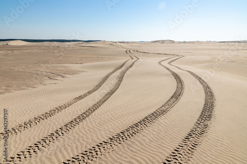 Tire printprint in dunes with wind marks