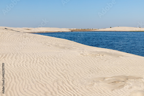 Dunes  lake and vegetation