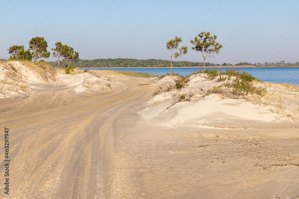 Dirty road with lake, sand and vegetation Dirty road with lake, sand and vegetation