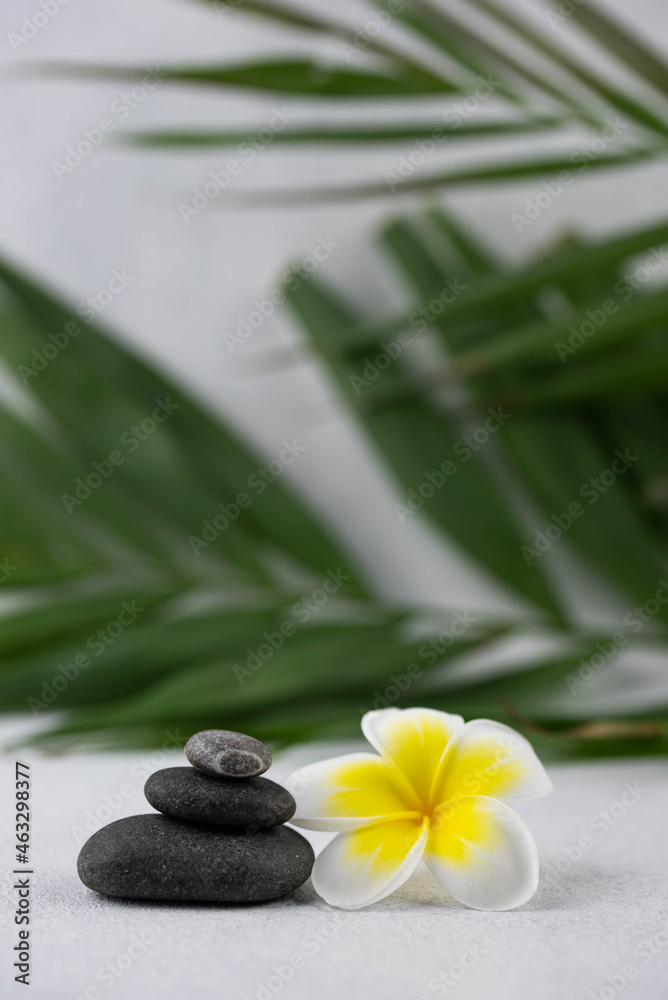 Pyramids of gray and white zen pebble meditation stones on white background with plumeria tropical flower. Concept of harmony, balance and meditation, spa, massage, relax Pyramids of gray and white zen pebble meditation stones on white background with plumeria tropical flower. Concept of harmony, balance and meditation, spa, massage, relax
