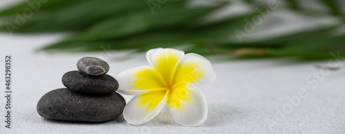 Pyramids of gray and white zen pebble meditation stones on white background with plumeria tropical flower. Concept of harmony, balance and meditation, spa, massage, relax. Banner format