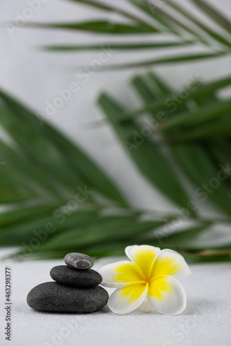 Pyramids of gray and white zen pebble meditation stones on white background with plumeria tropical flower. Concept of harmony  balance and meditation  spa  massage  relax