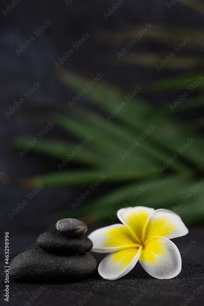 Obraz premium Pyramids of gray and white zen pebble meditation stones on black background with plumeria tropical flower. Concept of harmony, balance and meditation, spa, massage, relax