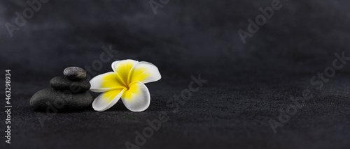 Photography Pyramids of gray and white zen pebble meditation stones on black background with plumeria tropical flower
