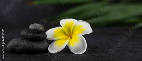 Photography Pyramids of gray and white zen pebble meditation stones on black background with plumeria tropical flower