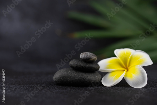 Pyramids of gray and white zen pebble meditation stones on black background with plumeria tropical flower. Concept of harmony  balance and meditation  spa  massage  relax