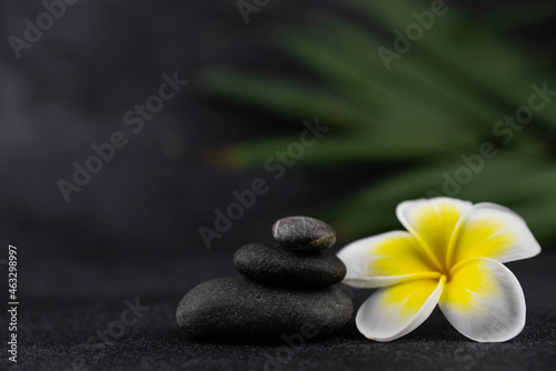 Pyramids of gray and white zen pebble meditation stones on black background with plumeria tropical flower. Concept of harmony  balance and meditation  spa  massage  relax