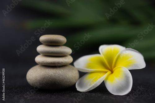 Pyramids of gray and white zen pebble meditation stones on black background with plumeria tropical flower. Concept of harmony, balance and meditation, spa, massage, relax