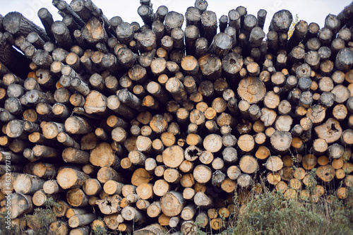 large number of logs at the sawmill lying on top