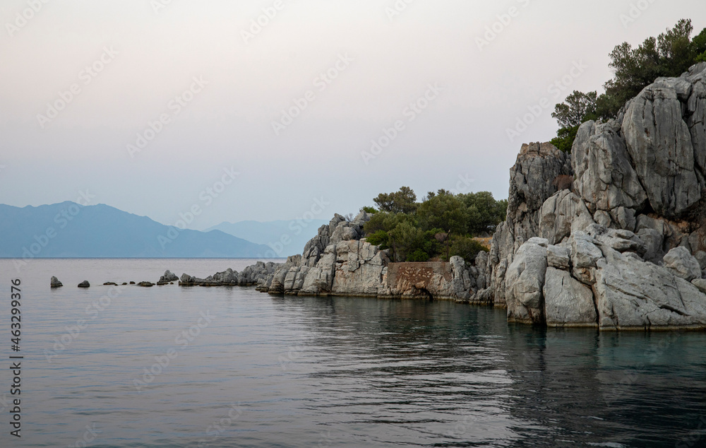 Rocky sea  island with trees at sunset