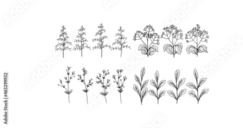 Set of hand drawn vector black decorative plants, flowers and leaves, branches. Vector graphics, design, decor.