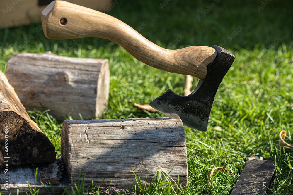 axe in a log