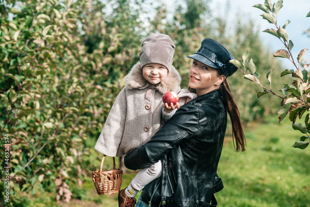 mom and her baby girl walking and picking apples in the garden. harvesting autumn. apple orchard, wild garden