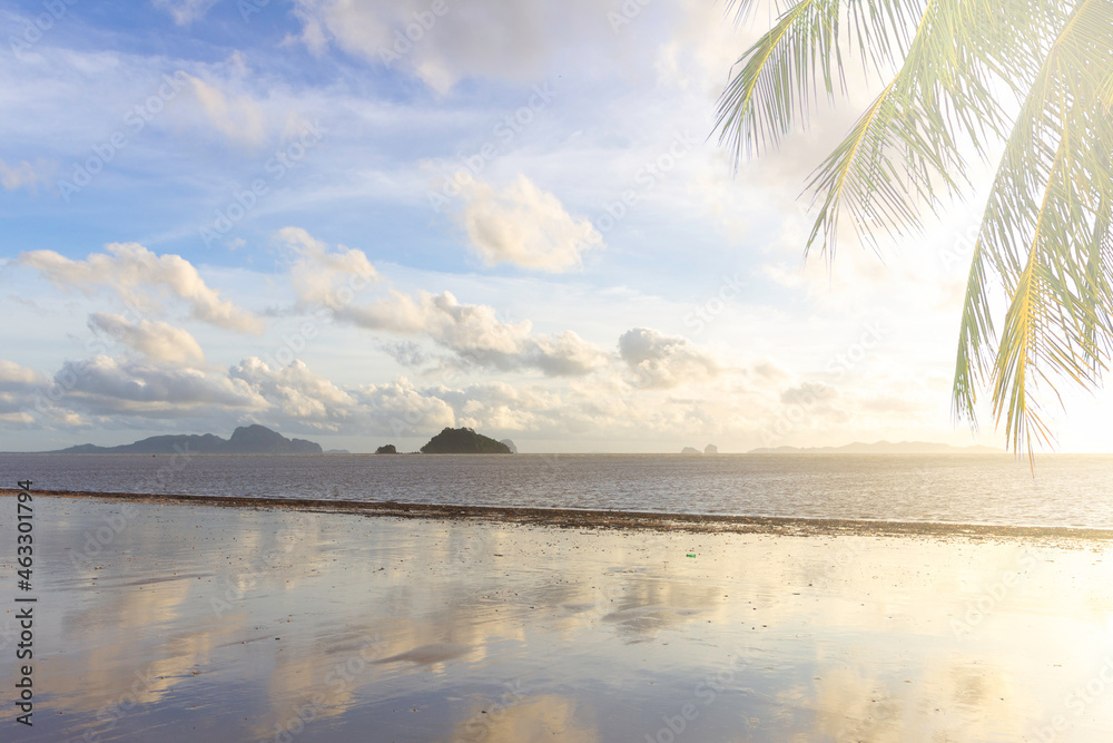 Obraz premium palm tree sea at sunset