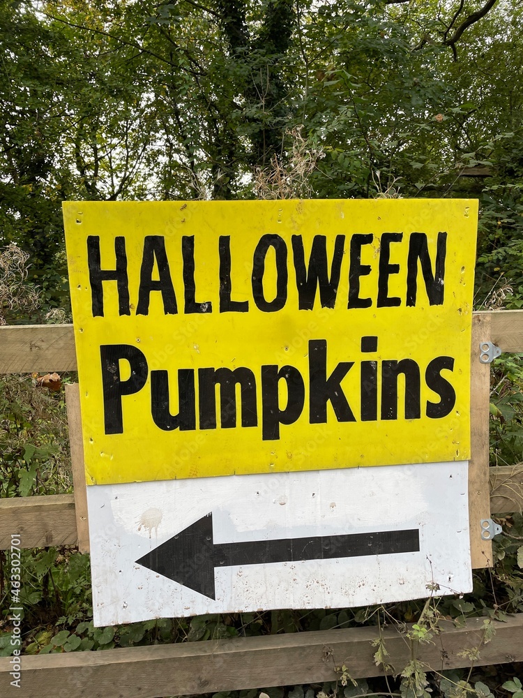 Pick your pumpkins. Halloween sign