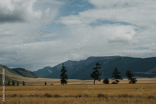A beautiful view of the mountains from the Chuisky Trakt in the Altai Republic